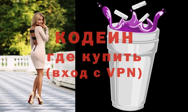 соль ск Няндома