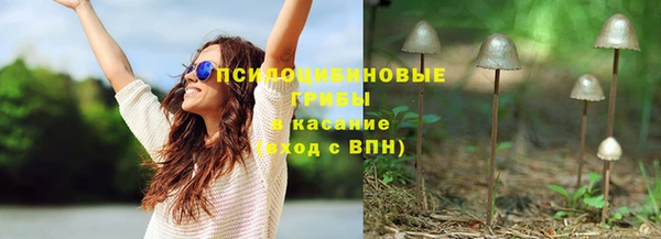 spice Нягань