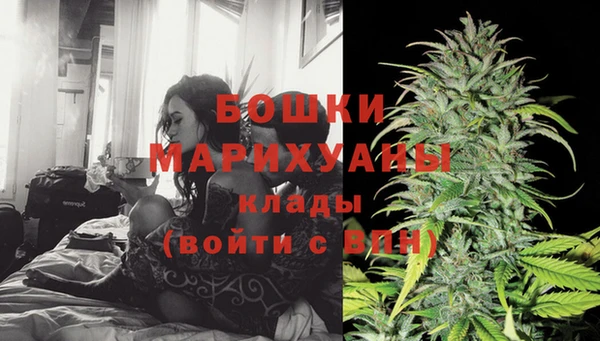 соль ск Няндома