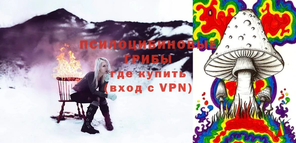 spice Нягань