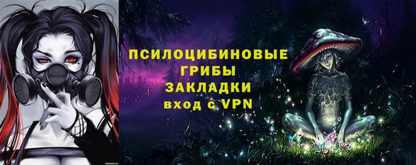соль ск Няндома