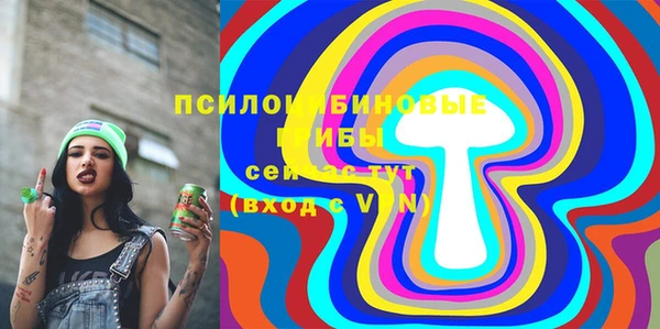 spice Нягань