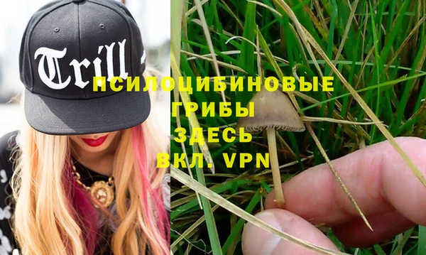 spice Нягань