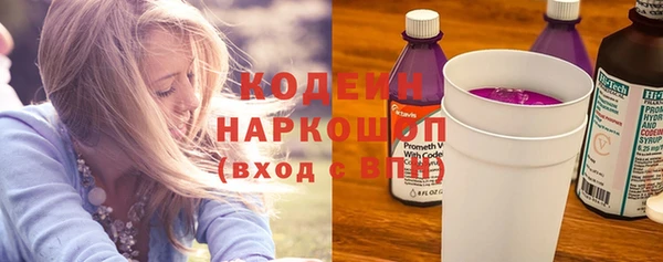 соль ск Няндома